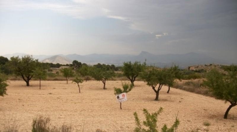 Alicante - Monóvar - 10000m2