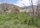 Terreny no urbanitzable en venda a la España, Berja, ref.: TR122231 foto