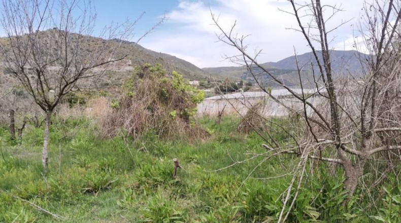 Almeria - Berja - 3000m2