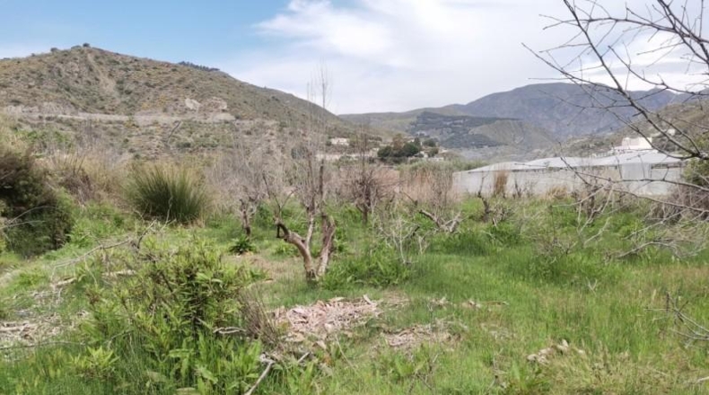 Almeria - Berja - 3000m2