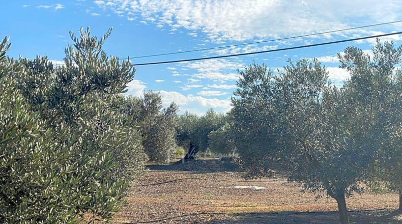 Tarragona - Rasquera - 13830m2