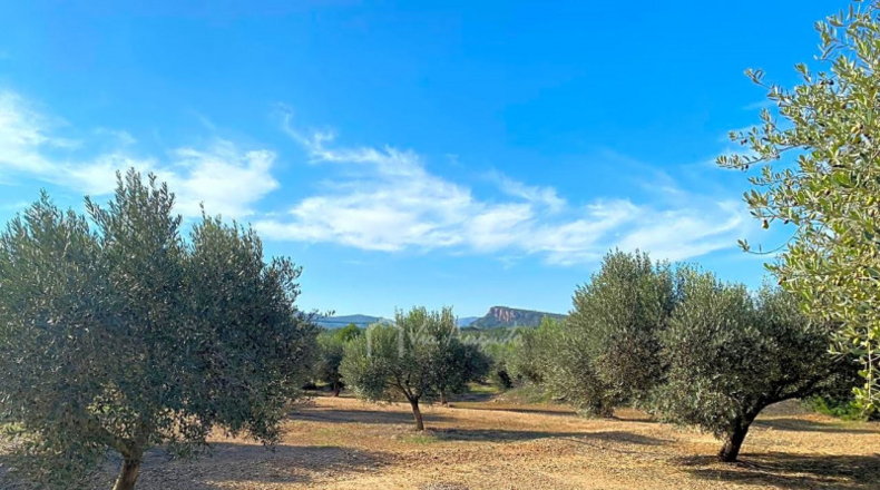 Tarragona - Rasquera - 13830m2