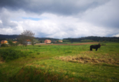 Sòl urbà en venda a la España, Valdoviño, ref.: TR116490 foto