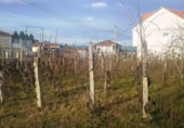 Parcel·la urbanitzable en venda a la España, San Cibrao das Viñas, ref.: TR116830 foto