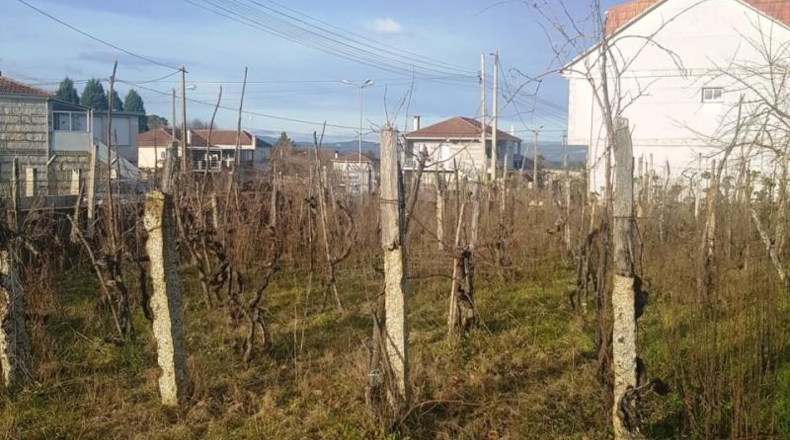 Orense - San Cibrao das Viñas - 1100m2
