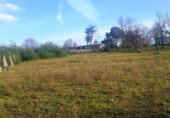 Parcel·la urbanitzable en venda a la España, San Cibrao das Viñas, ref.: TR116830 foto