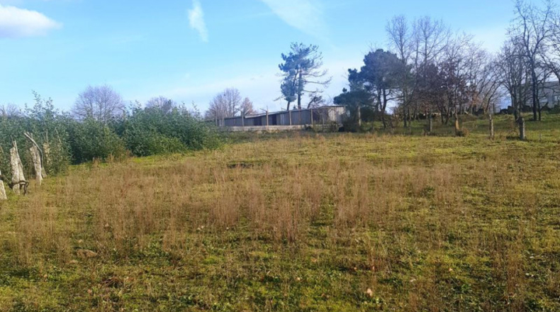 Orense - San Cibrao das Viñas - 1100m2