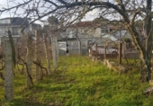 Parcel·la urbanitzable en venda a la España, San Cibrao das Viñas, ref.: TR116830 foto