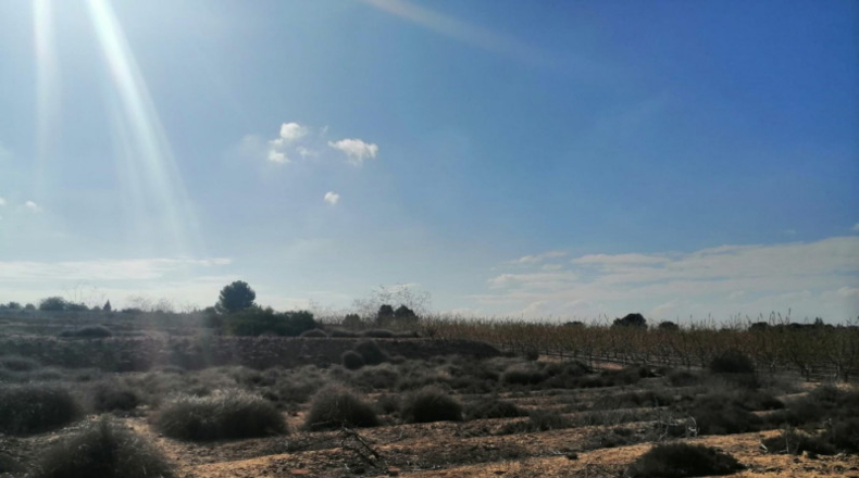 Múrcia - Molina de Segura - 1000m2