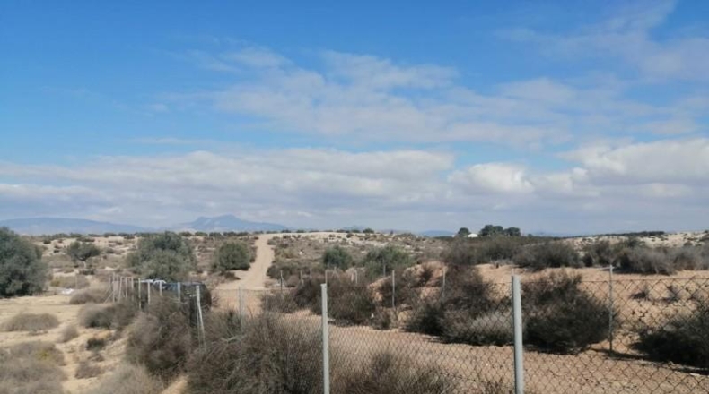 Múrcia - Molina de Segura - 1000m2