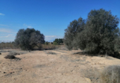 Parcel·la urbanitzable en venda a la España, Molina de Segura, ref.: TR117393 foto