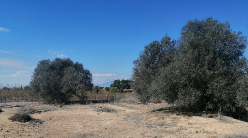 Múrcia - Molina de Segura - 1000m2