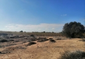 Parcel·la urbanitzable en venda a la España, Molina de Segura, ref.: TR117393 foto