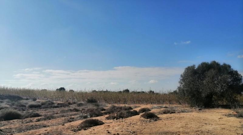 Múrcia - Molina de Segura - 1000m2