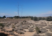Parcel·la urbanitzable en venda a la España, Molina de Segura, ref.: TR117393 foto