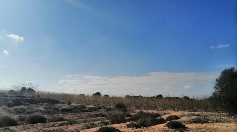 Múrcia - Molina de Segura - 1000m2