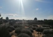 Parcel·la urbanitzable en venda a la España, Molina de Segura, ref.: TR117393 foto