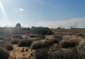 Parcel·la urbanitzable en venda a la España, Molina de Segura, ref.: TR117393 foto