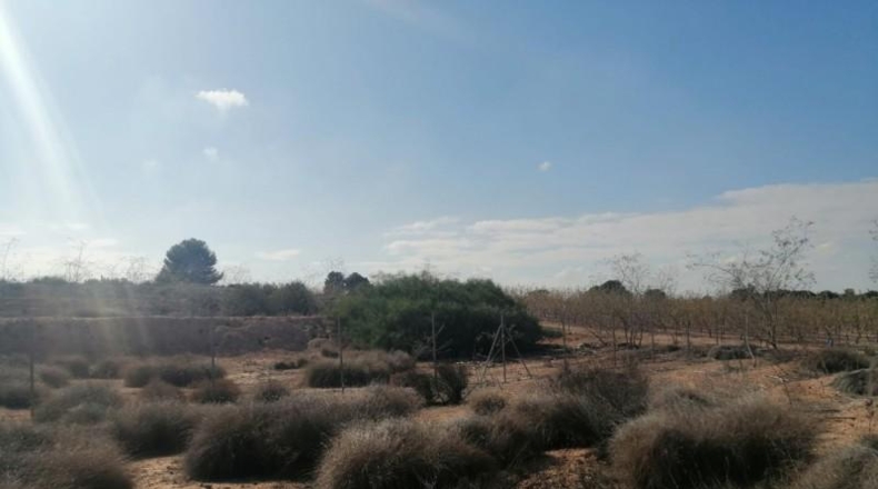 Múrcia - Molina de Segura - 1000m2