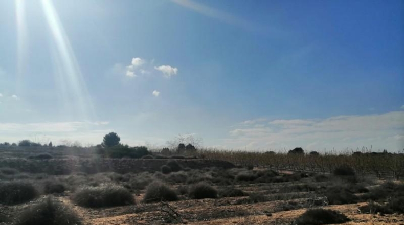 Múrcia - Molina de Segura - 1000m2