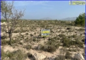 Xalet independent amb terreny en venda a la España, Fortuna, ref.: TR294321 foto