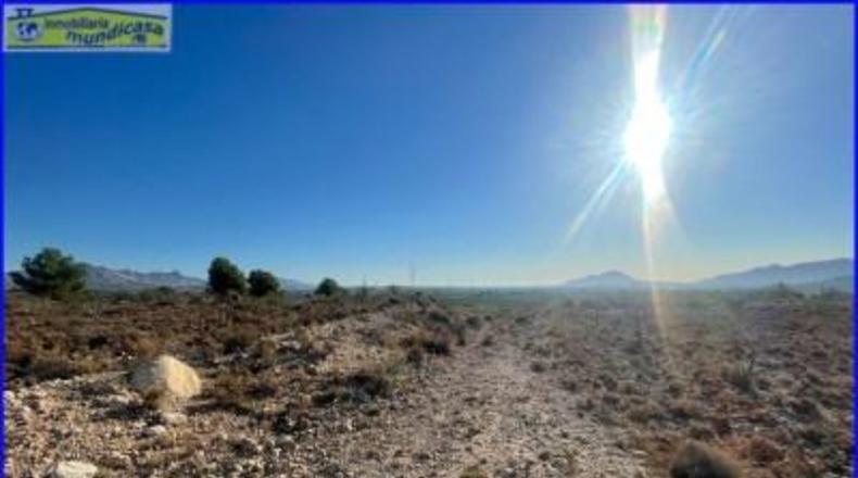 Murcia - Фортуна - 12913m2