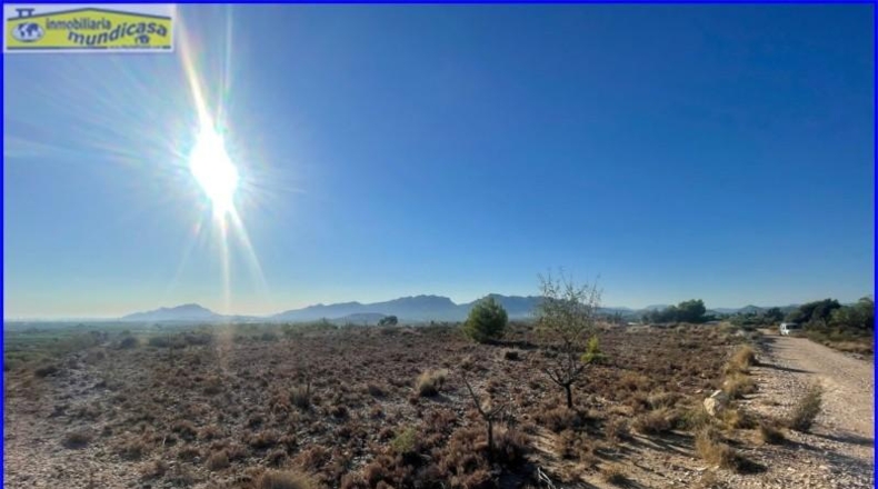 Murcia - Фортуна - 12913m2