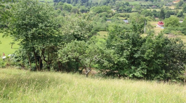 Asturias - Gijón - 2470m2