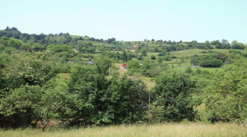 Asturias - Gijón - 2470m2
