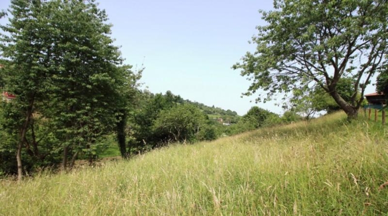 Asturias - Gijón - 2470m2