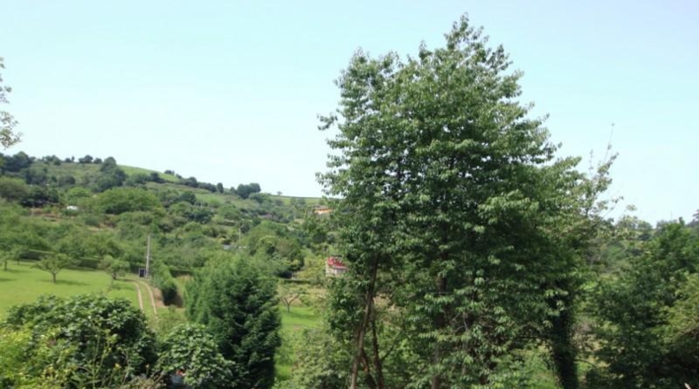Asturias - Gijón - 2470m2