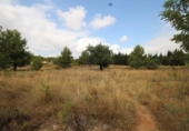 Non-developable land for sale on España, Turís, ref: TR118273 photo