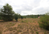 Non-developable land for sale on España, Turís, ref: TR118273 photo