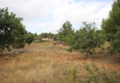 Non-developable land for sale on España, Turís, ref: TR118273 photo