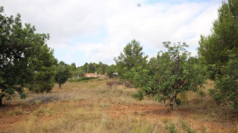 València - Turís - 4135m2