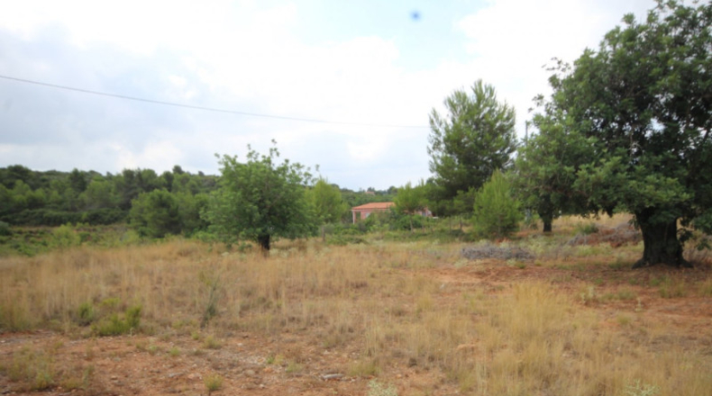 València - Turís - 4135m2