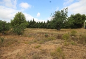 Non-developable land for sale on España, Turís, ref: TR118273 photo