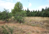 Non-developable land for sale on España, Turís, ref: TR118273 photo