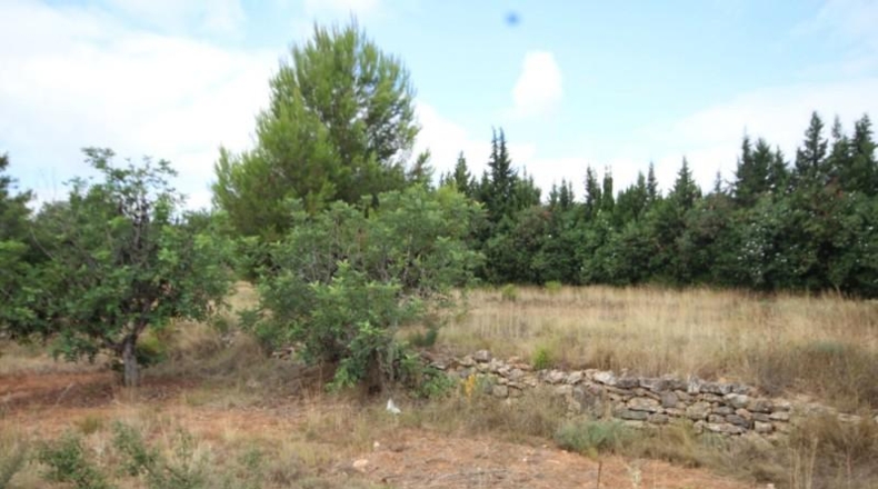 València - Turís - 4135m2