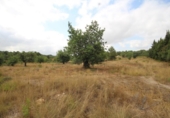 Non-developable land for sale on España, Turís, ref: TR118273 photo