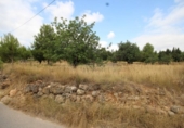 Non-developable land for sale on España, Turís, ref: TR118273 photo