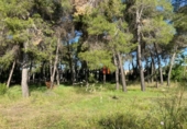 Non-developable land for sale on España, Ontinyent, ref: TR147781 photo