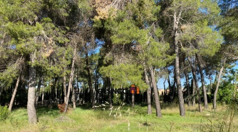 Valencia - Ontinyent - 4000m2