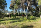 Non-developable land for sale on España, Ontinyent, ref: TR147781 photo