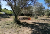 Sòl urbà en venda a la España, Castelló, ref.: TR123028 foto