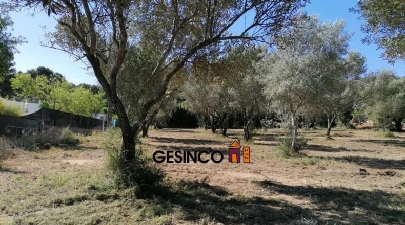 València - Játiva - 2674m2