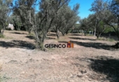 Sòl urbà en venda a la España, Castelló, ref.: TR123028 foto