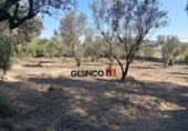Sòl urbà en venda a la España, Castelló, ref.: TR123028 foto