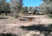 Sòl urbà en venda a la España, Castelló, ref.: TR123028 foto