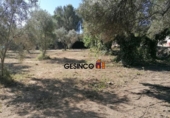 Sòl urbà en venda a la España, Castelló, ref.: TR123028 foto